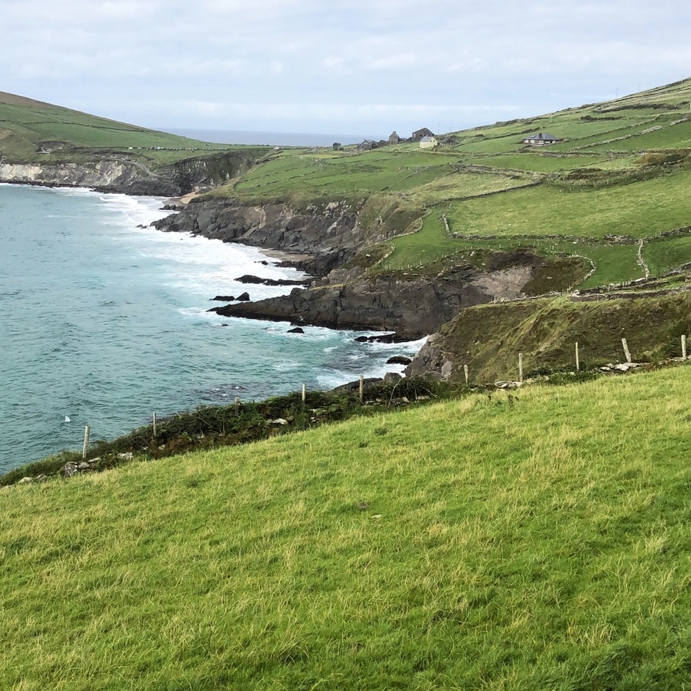 Meet your Posher, Andie